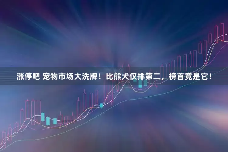 涨停吧 宠物市场大洗牌！比熊犬仅排第二，榜首竟是它！