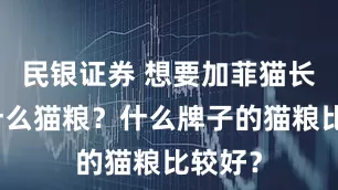 民银证券 想要加菲猫长肉吃什么猫粮？什么牌子的猫粮比较好？